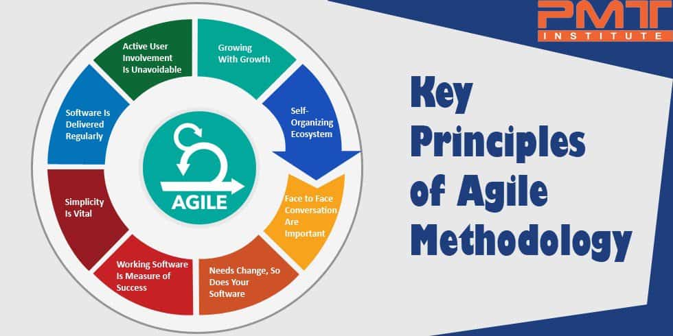 Basic Agile Project Management Principles